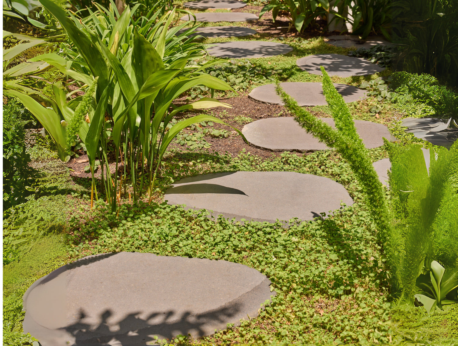 Stepping Stones