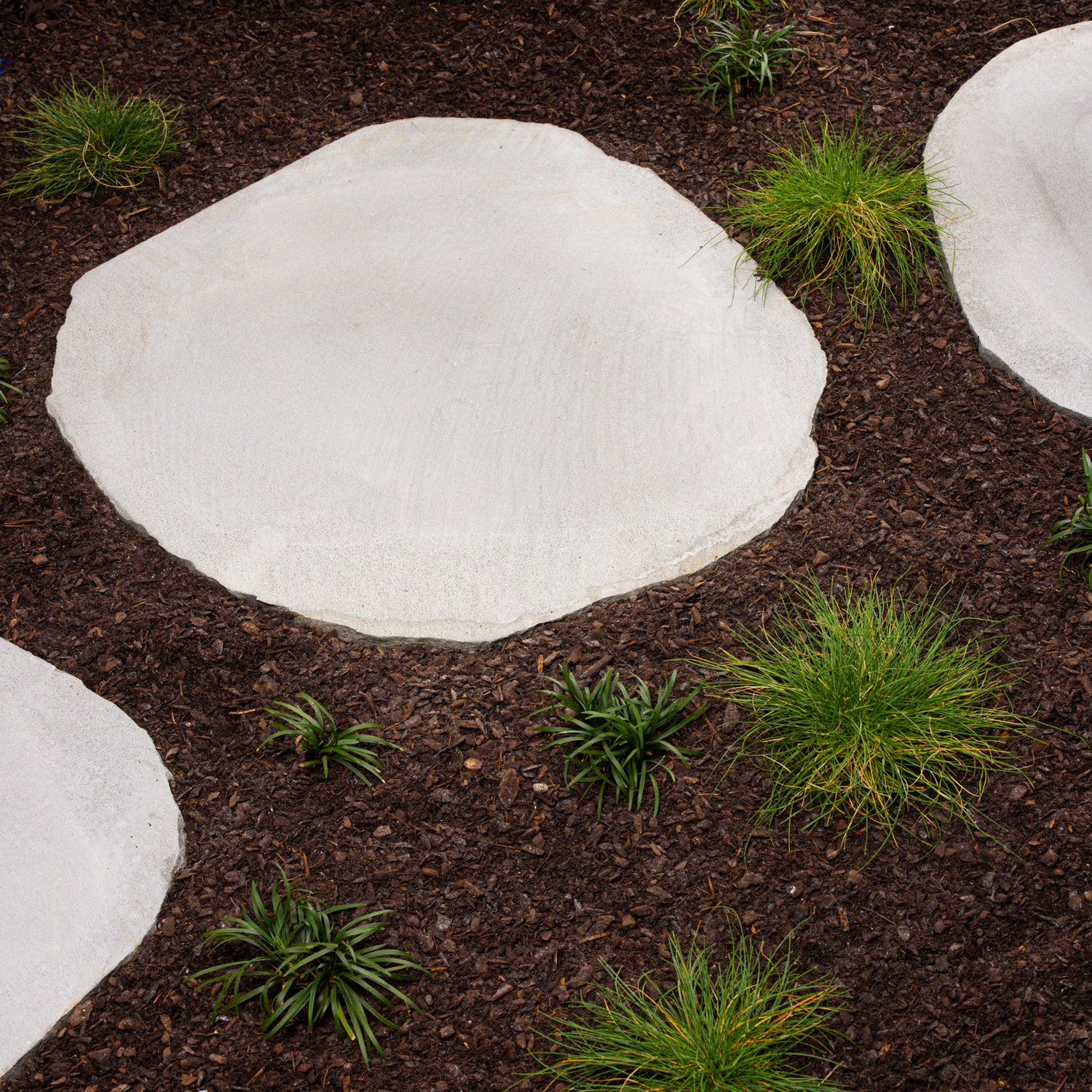 Large Bluestone Stepping Stone