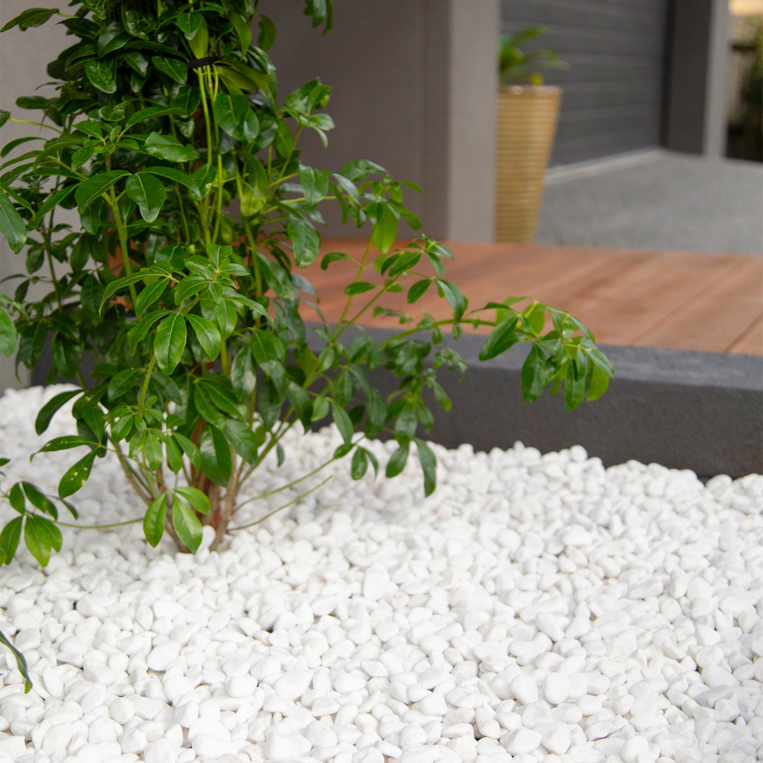 Snow White 10-15mm Landscaping Pebbles