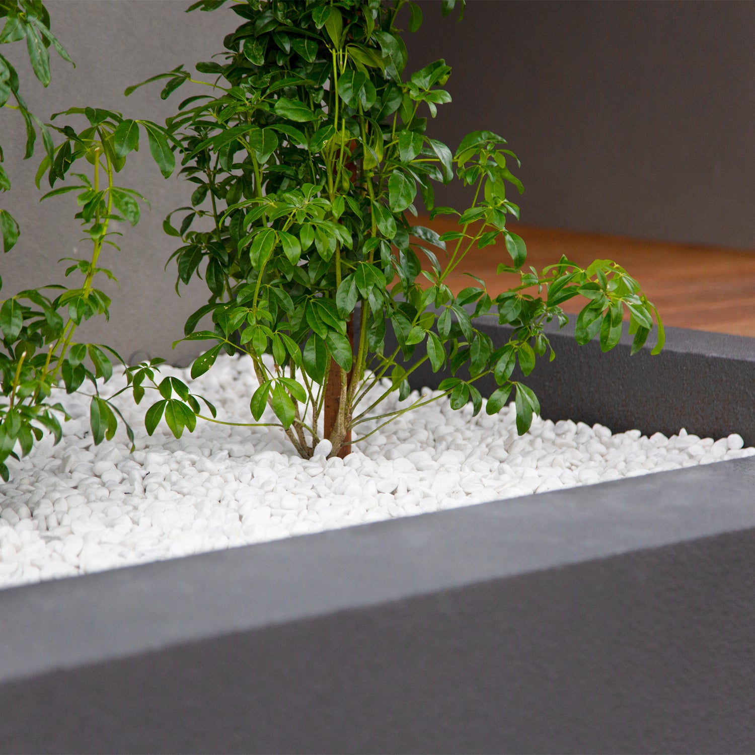 Snow White 10-15mm Landscaping Pebbles