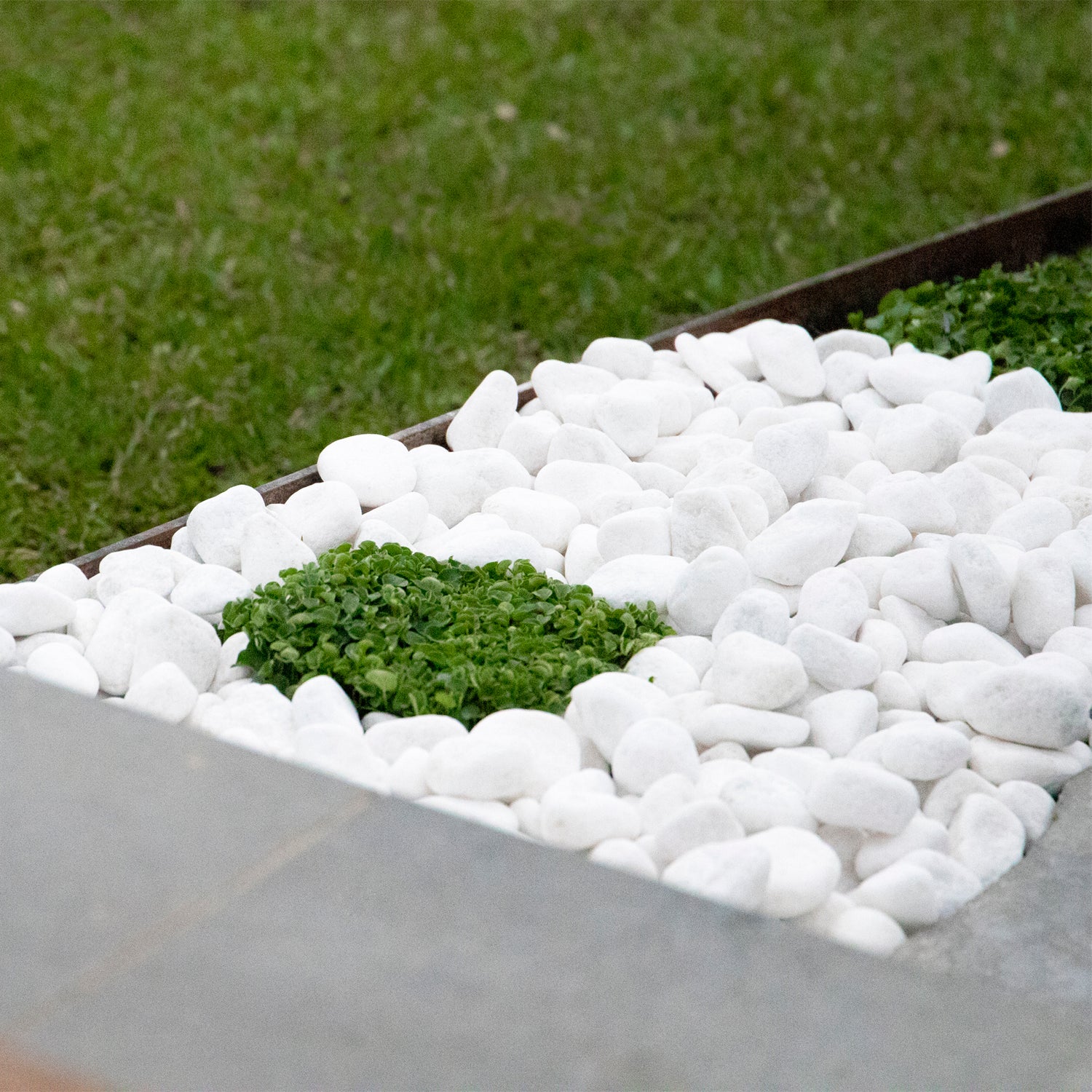 Snow White Quartz 20-25mm Landscaping Pebbles