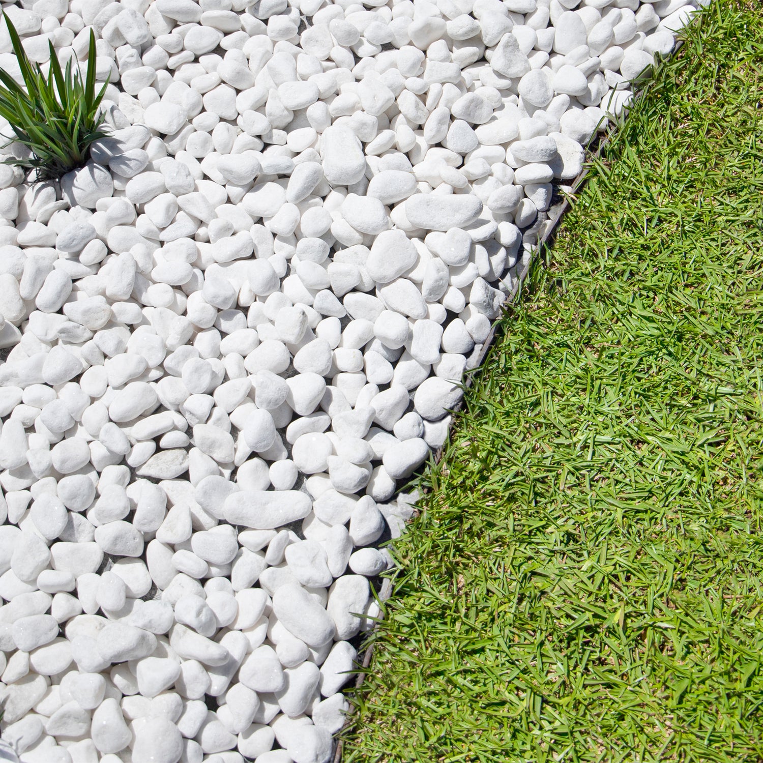 Snow White Quartz 20-25mm Landscaping Pebbles