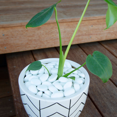 Aztec White 45-50mm Decorative Pebbles