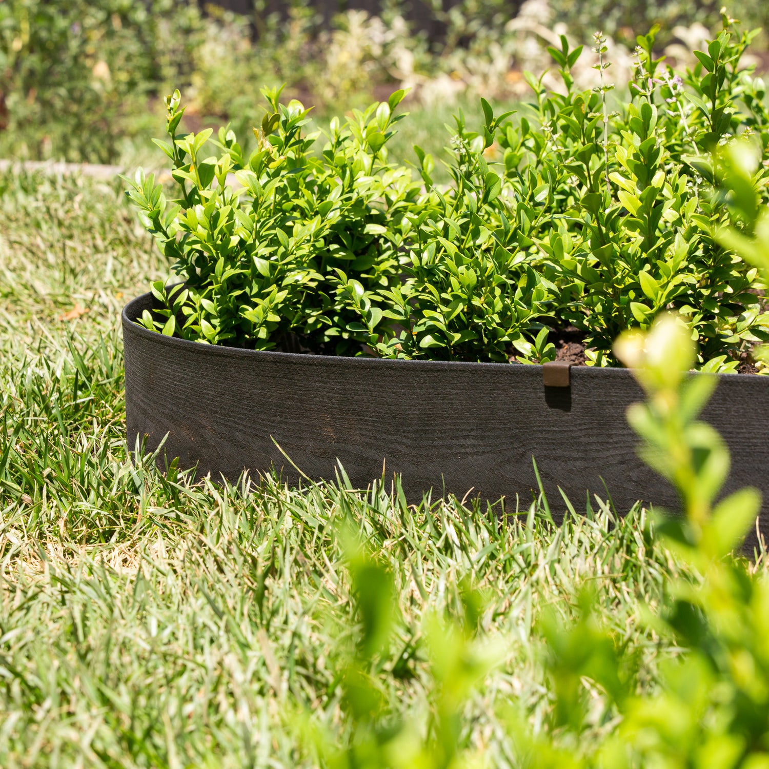 Charcoal Composite Edging