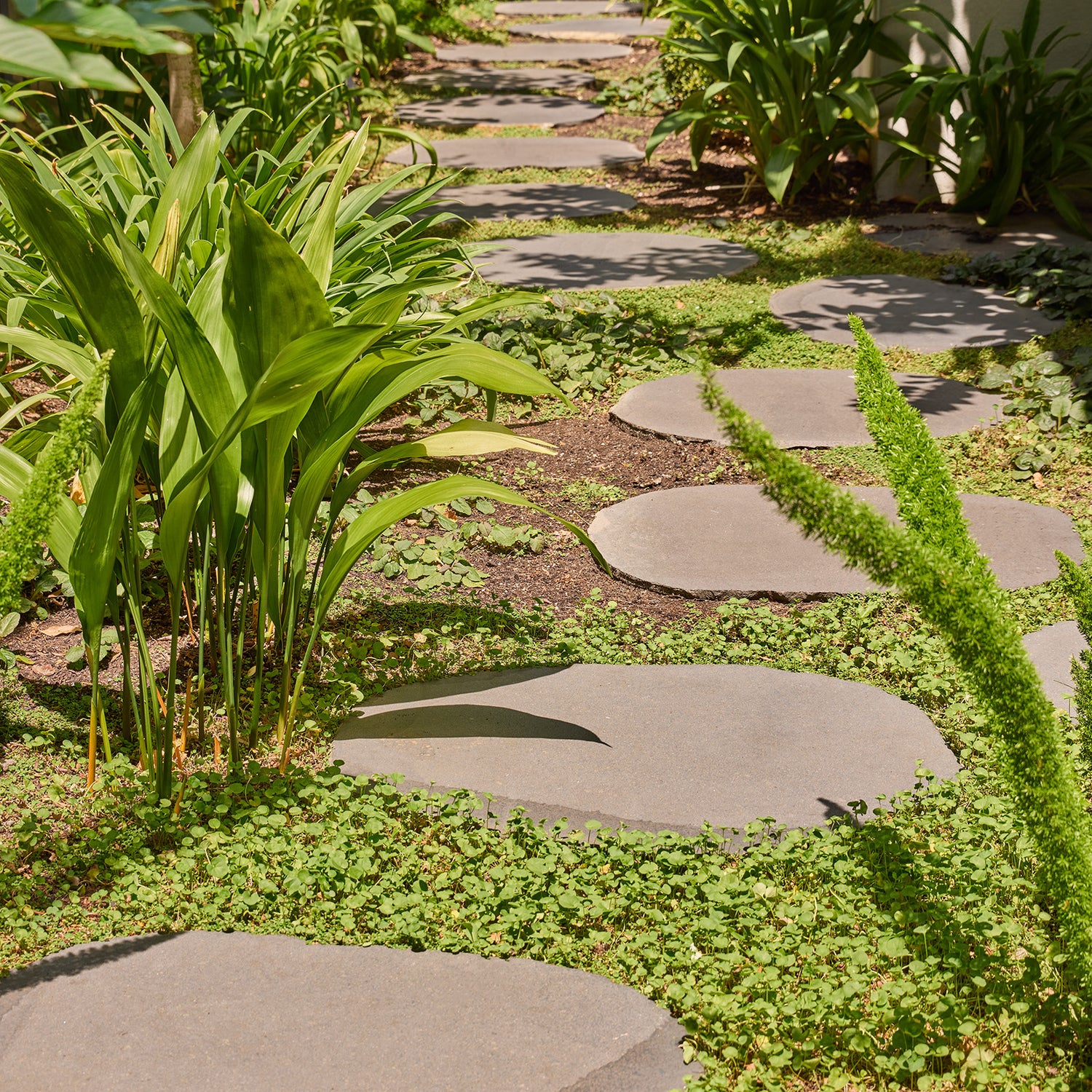 Bluestone Stepping Stone