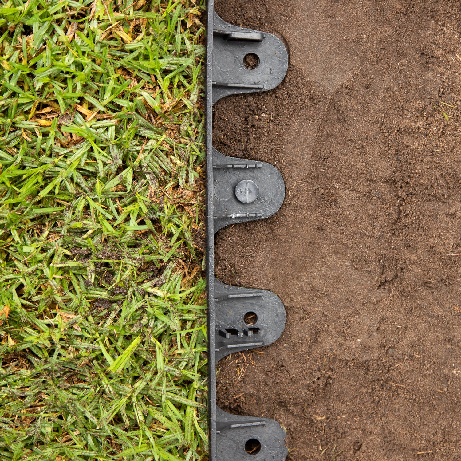 Landscape Border Edging