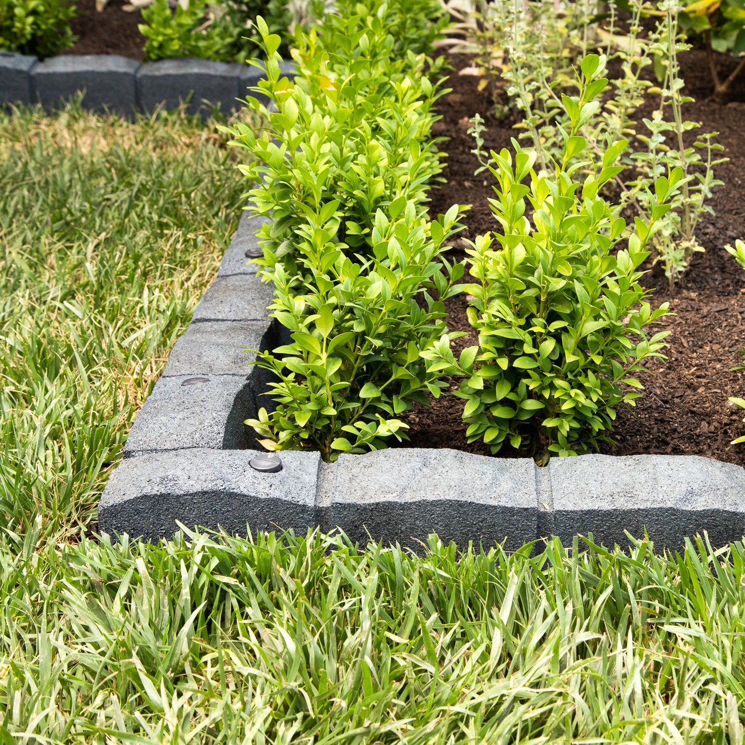 Roman Stone Edging