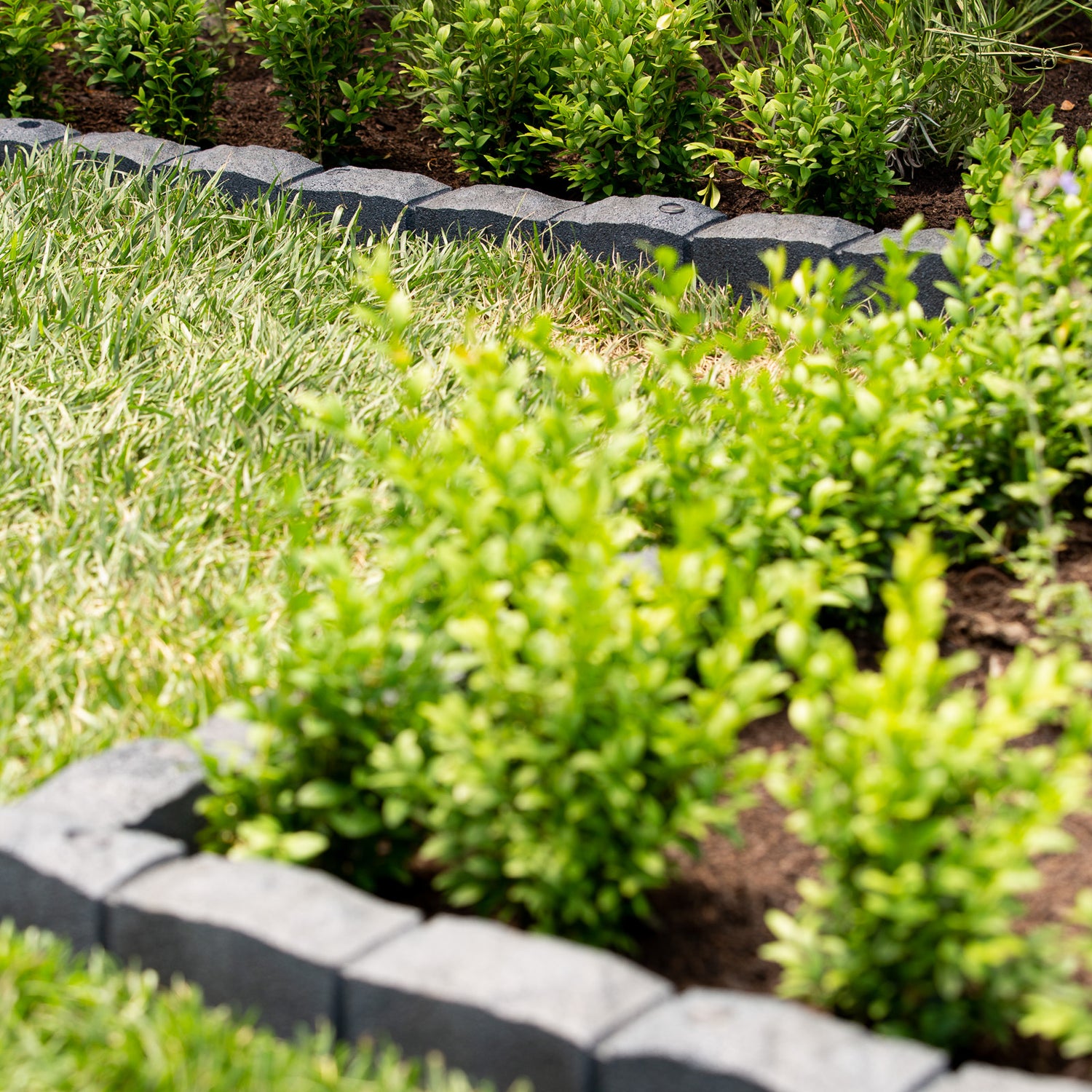 Roman Stone Edging
