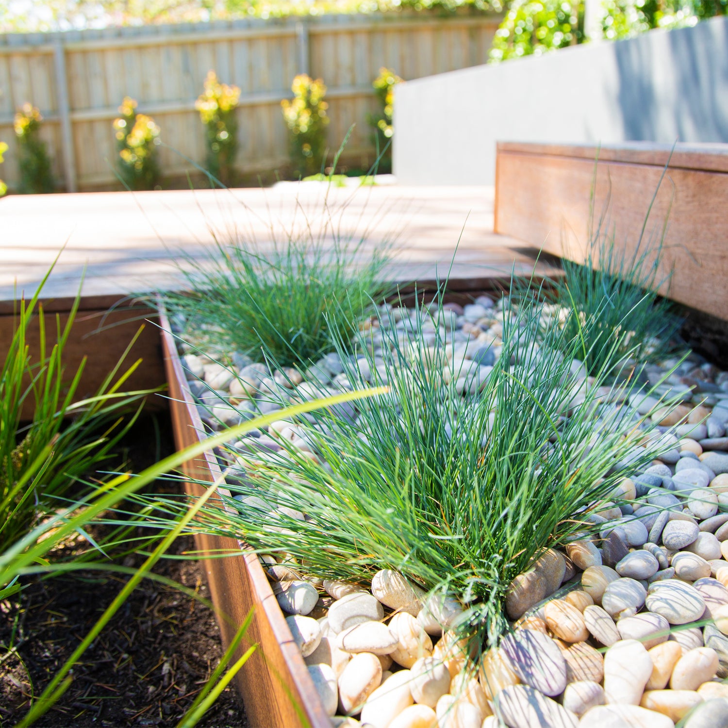 Smooth Cream 10-20mm Landscaping Pebbles