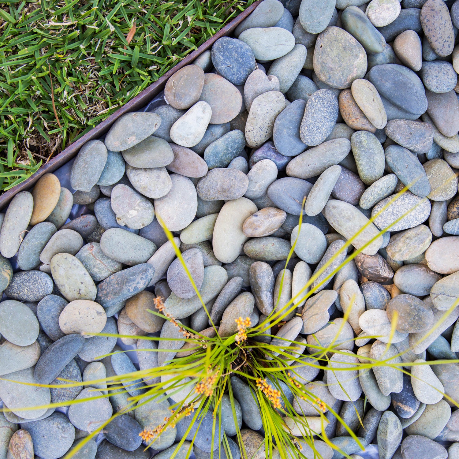Smooth Cream 10-20mm Landscaping Pebbles