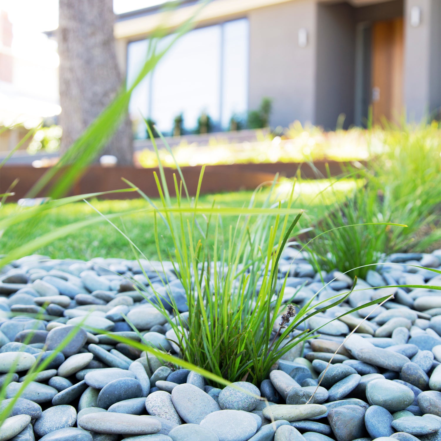 Natural Green Wash 30-50mm Landscaping Pebbles