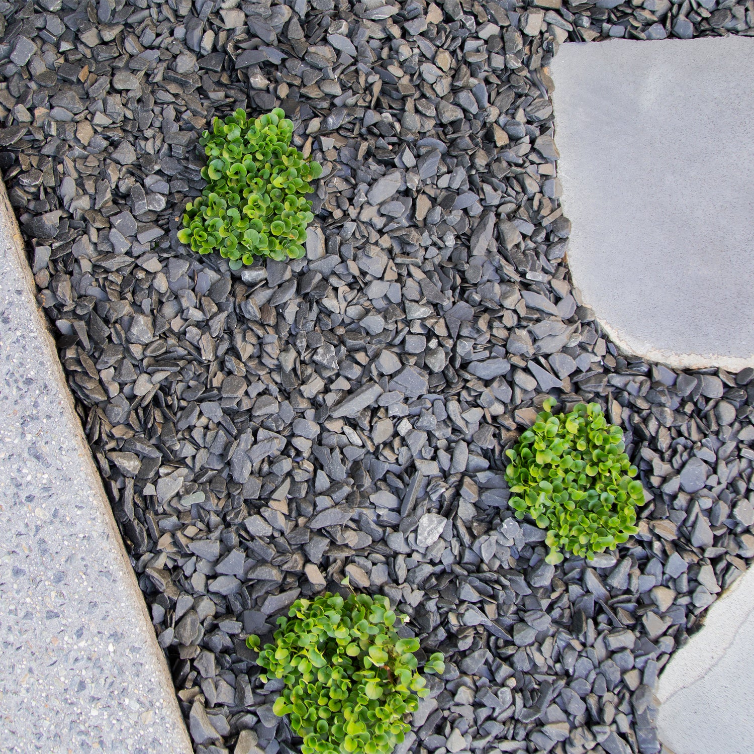 Polished Slate Black Chips 10-30mm Landscaping Pebbles