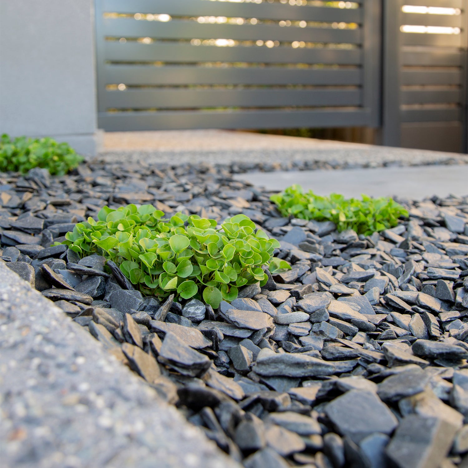 Polished Slate Black Chips 10-30mm Landscaping Pebbles