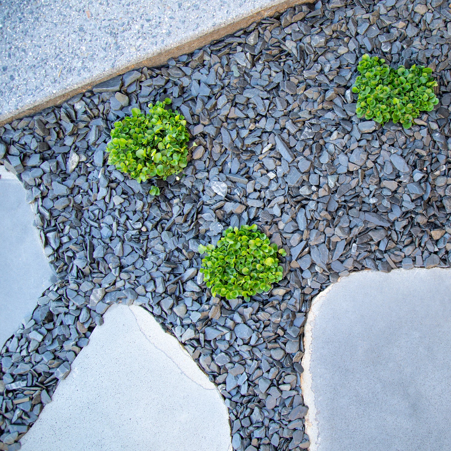 Polished Slate Black Chips 10-30mm Landscaping Pebbles