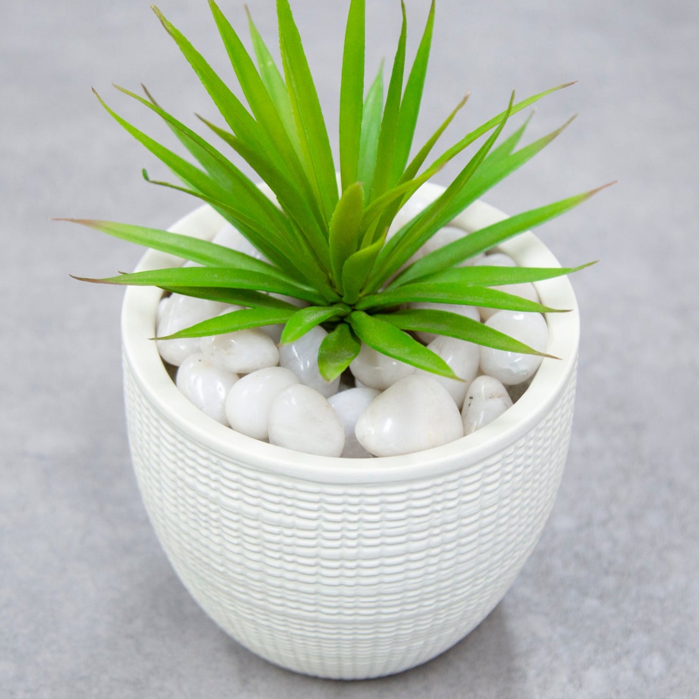 Polished White 10-15mm Decorative Pebbles