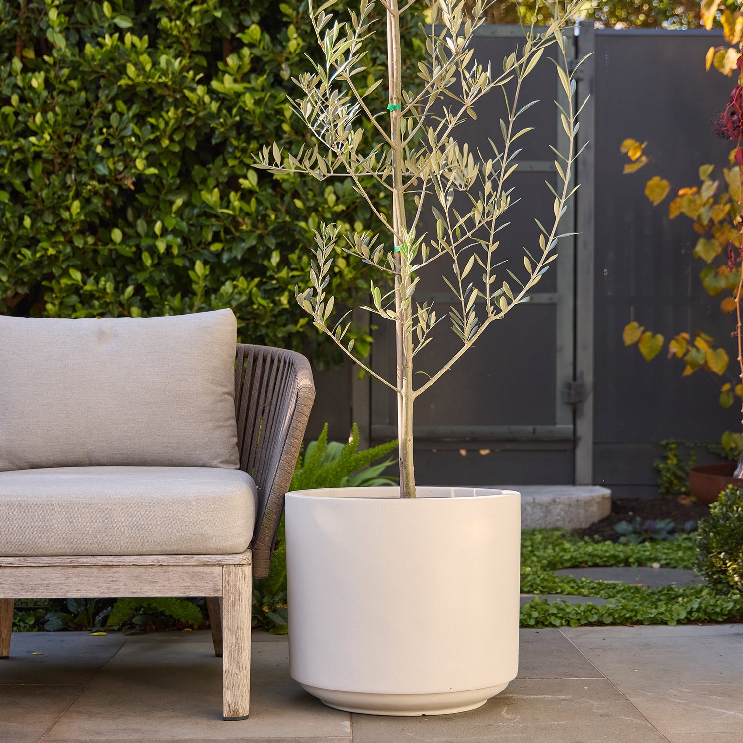 Harper Drum Planter in White