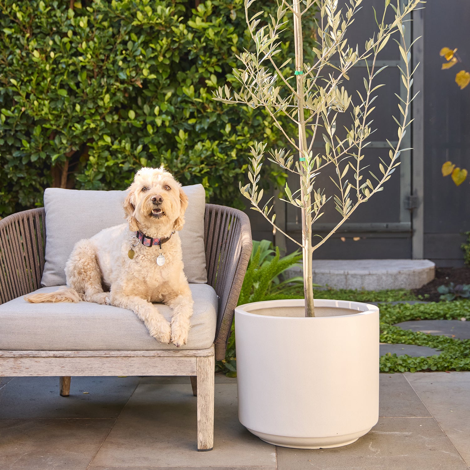 Harper Drum Planter in White