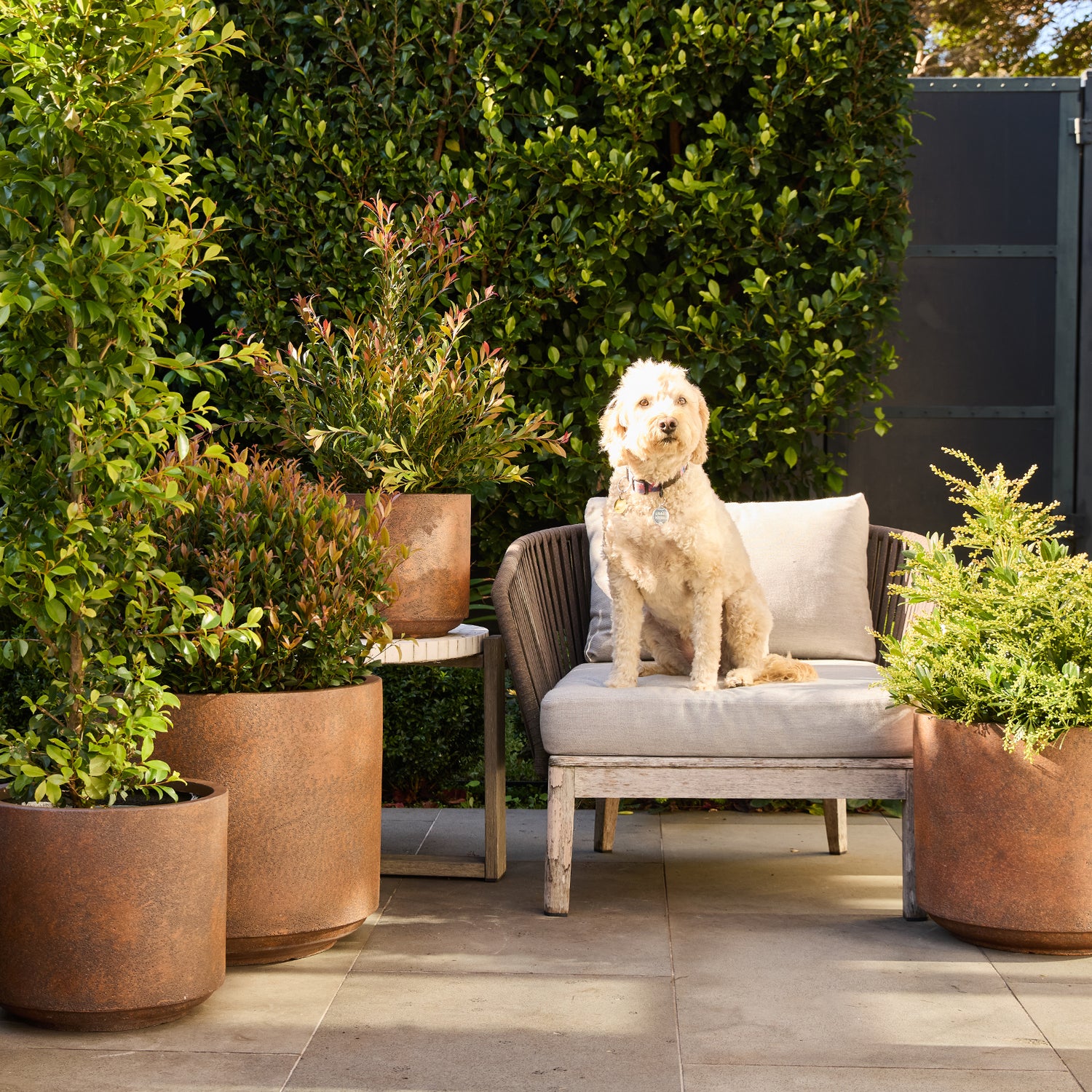 Harper Drum Planter in Rust