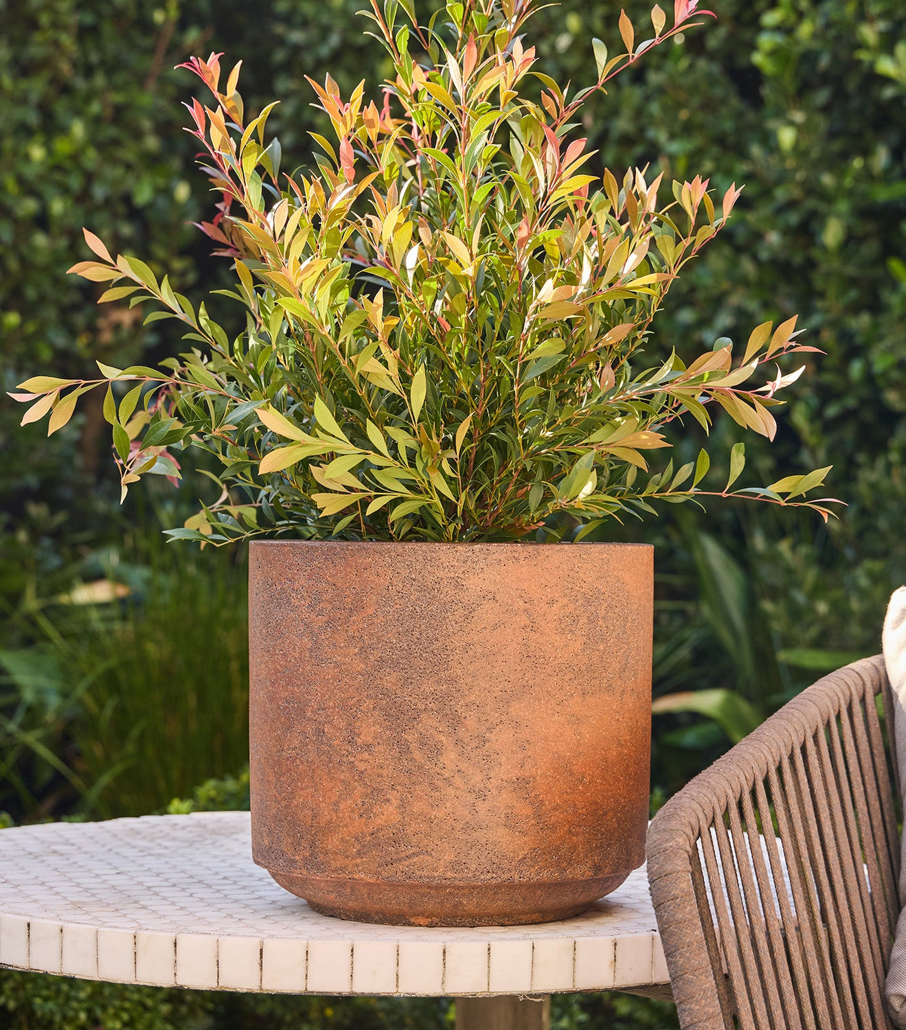 Harper Drum Planter in Rust