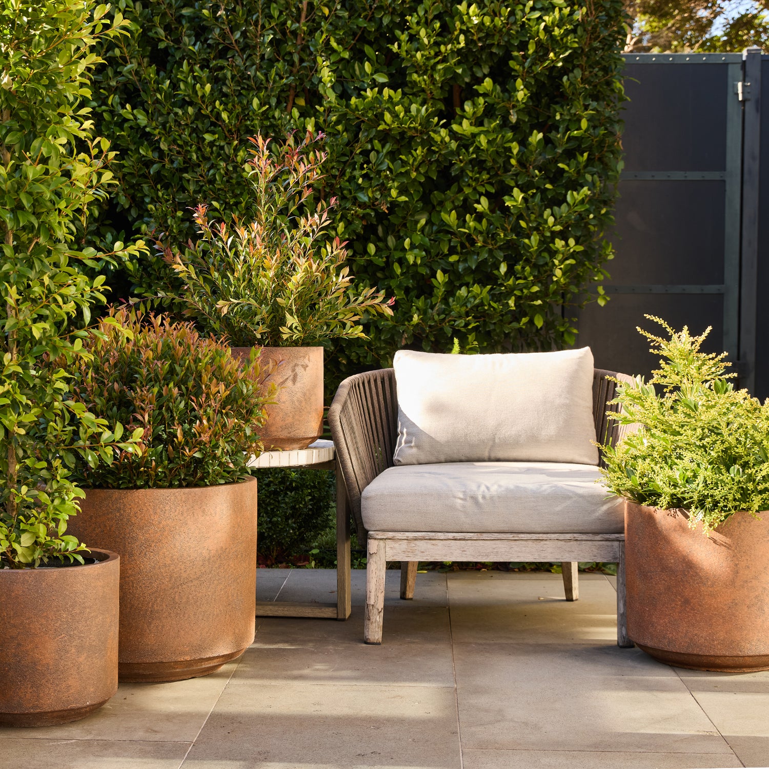 Harper Drum Planter in Rust