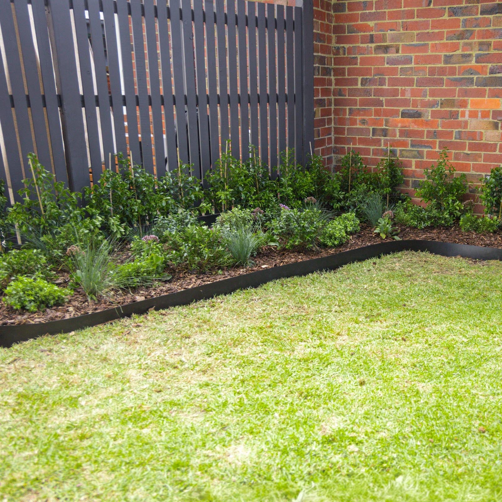 Best Garden Bed Edging Options for a Neat, Stylish Garden