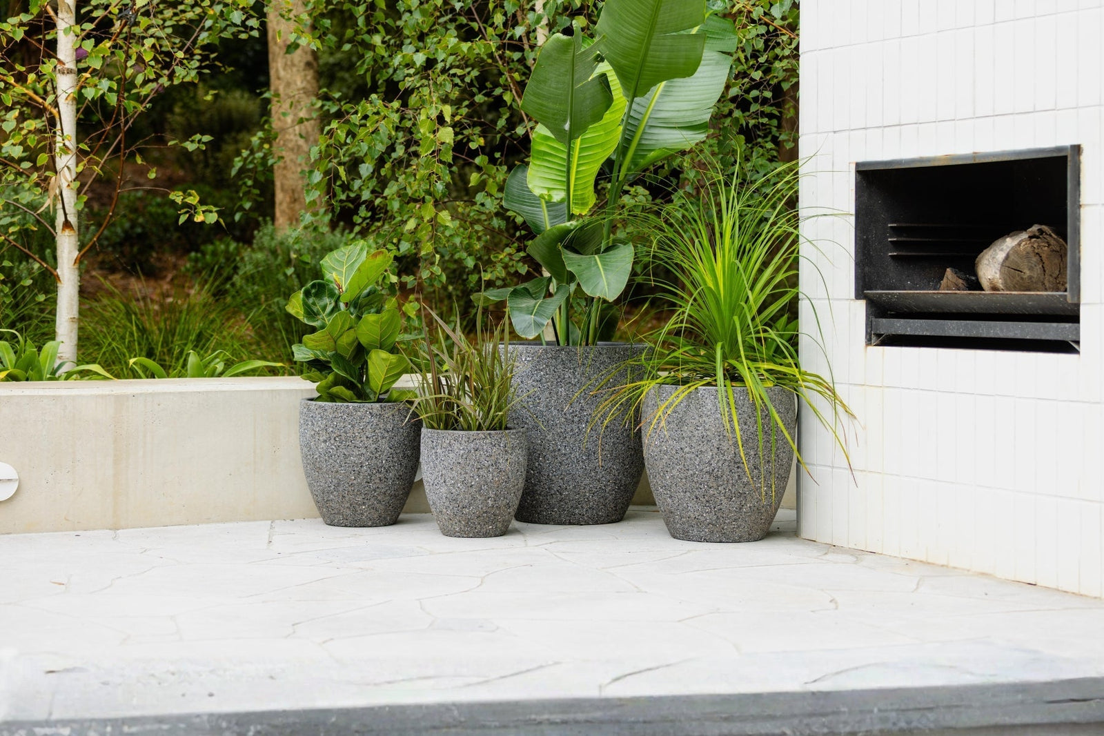 Choosing the Right Extra Large Pots for Outdoor Plants: Material, Drainage & Style Guide