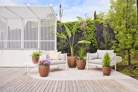 What to Plant in Tall Outdoor Pots