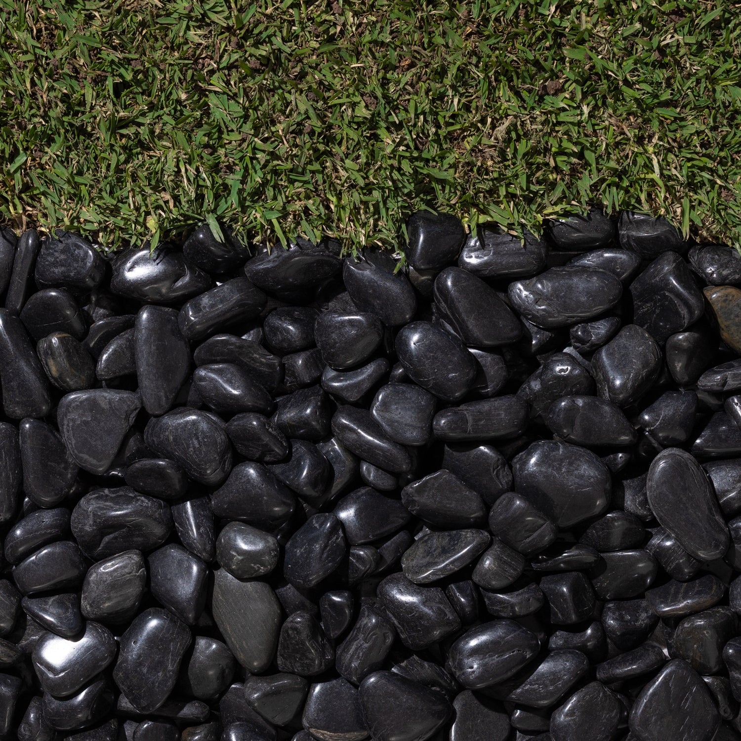 High Polish Black Quartzite Pebbles 40-60mm