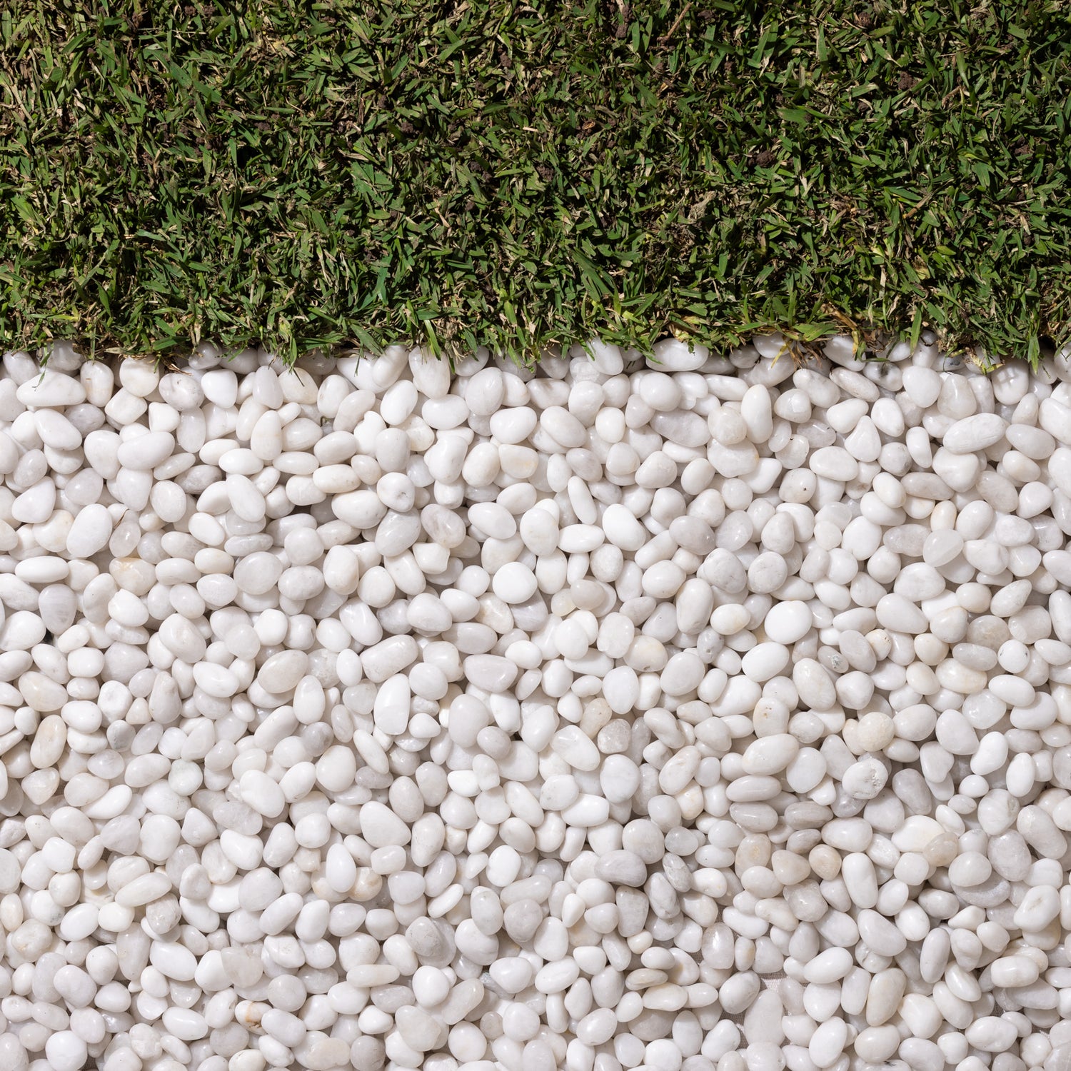 High Polish White Quartzite Pebbles 15-20mm