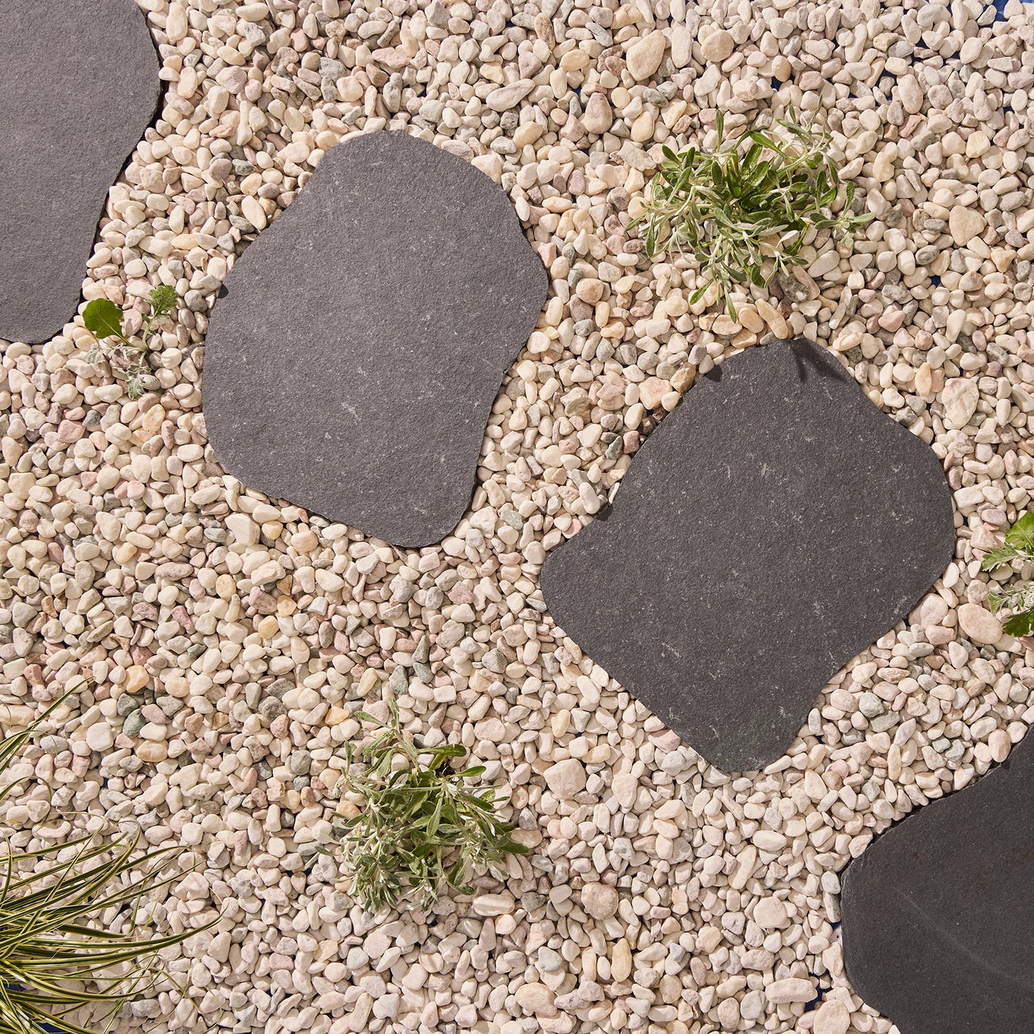 Charcoal Limestone Stepping Stone