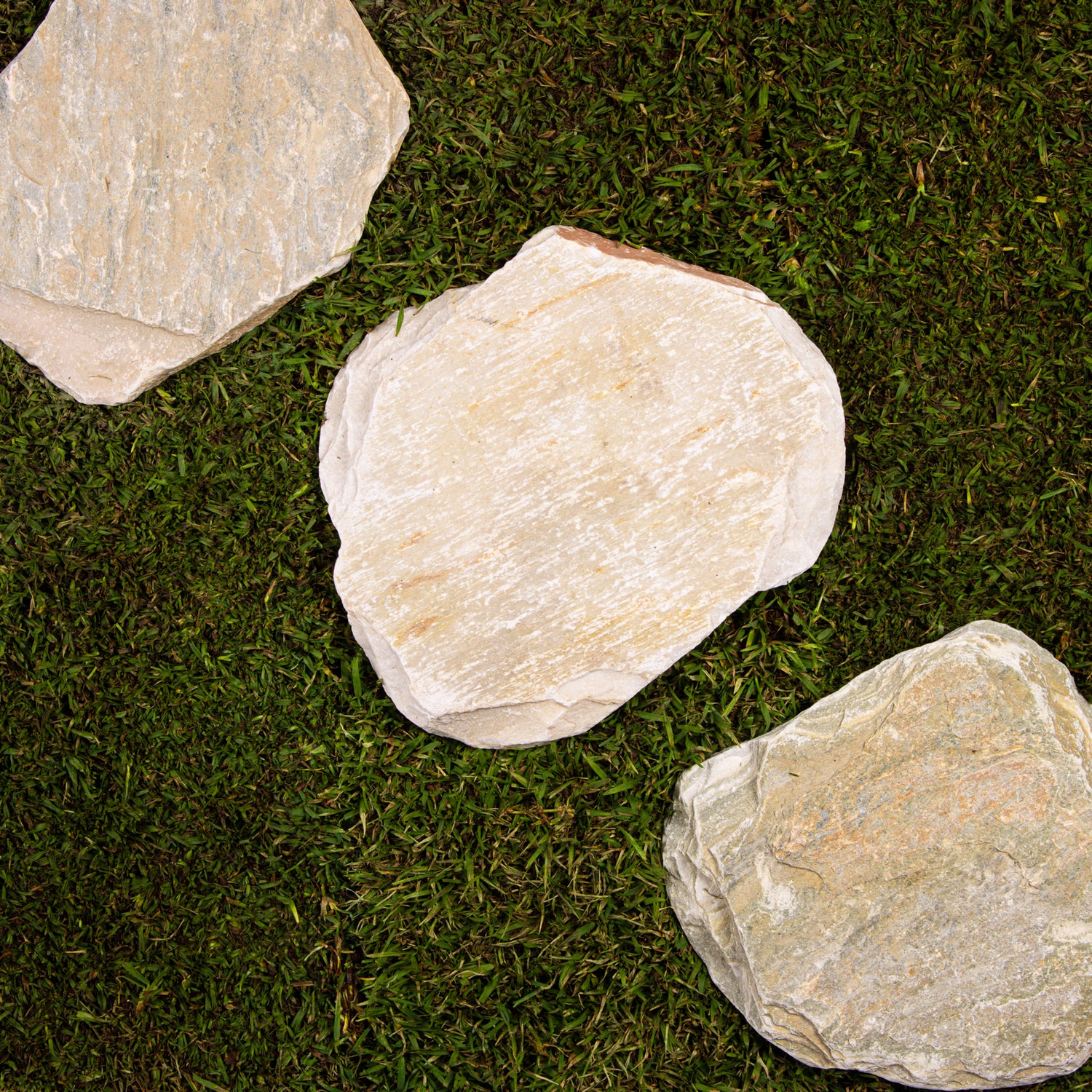 Biege Mix Quartzite Stepping Stone
