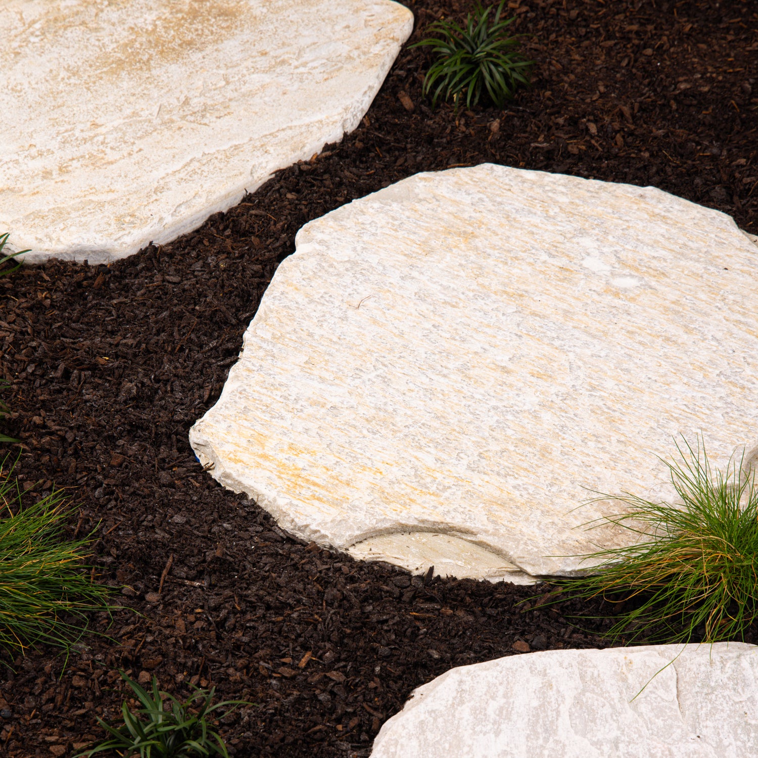 Beige Mix Quartzite Stepping Stone