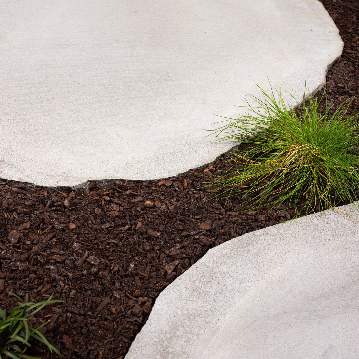 Large Bluestone Stepping Stone