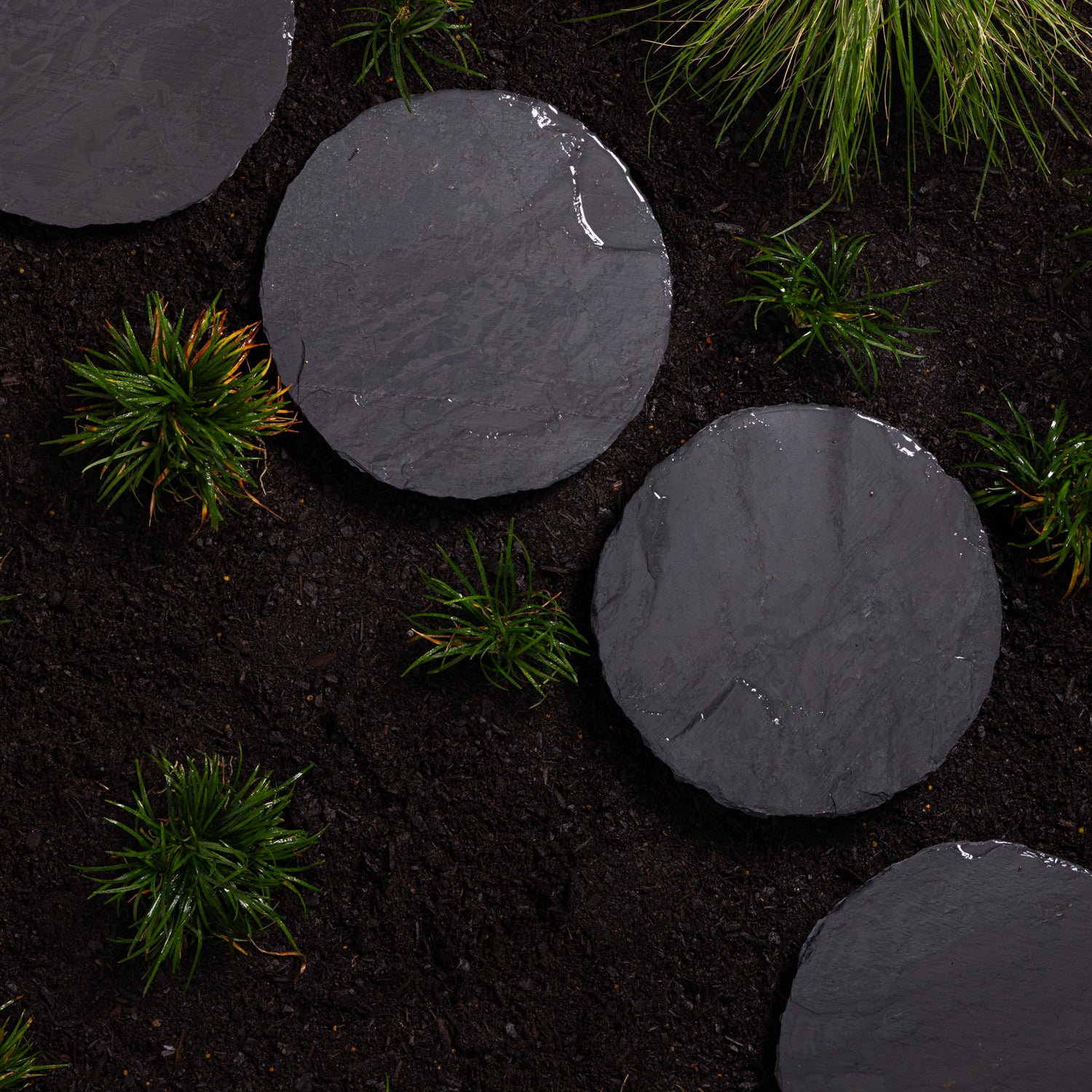 Black Slate Stepping Stone