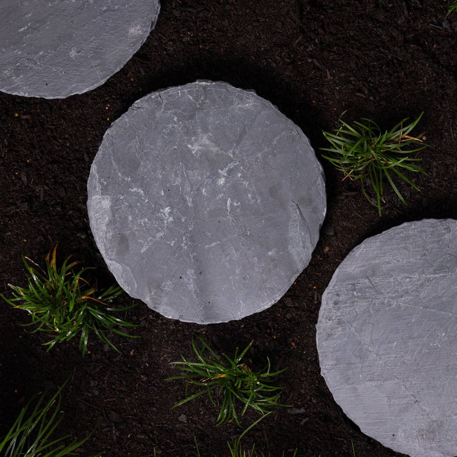 Black Slate Stepping Stone