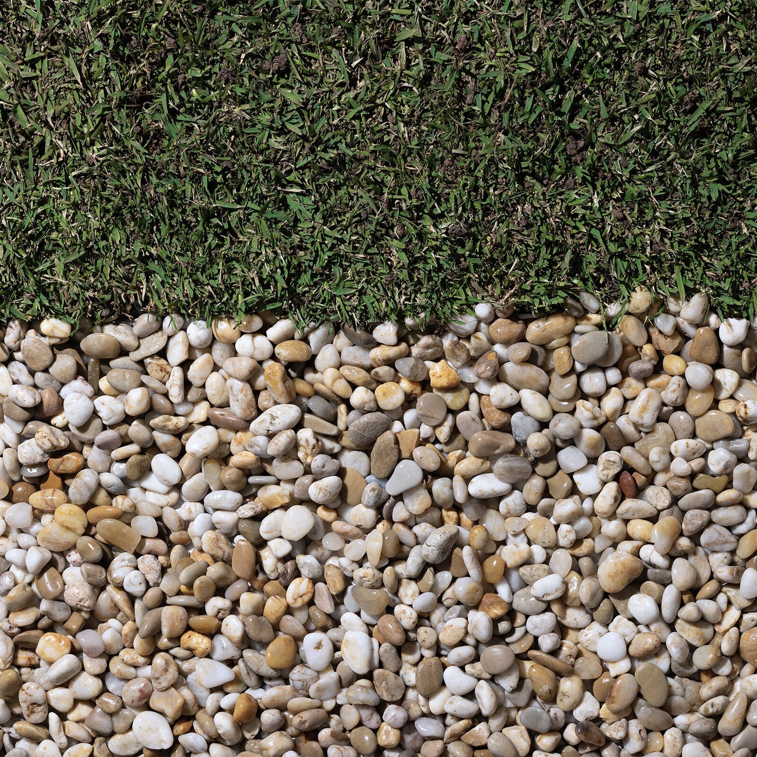 Smooth Cream River Pebble 15-20mm