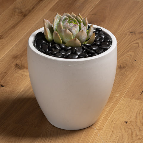 Black River Pebbles 15-20mm