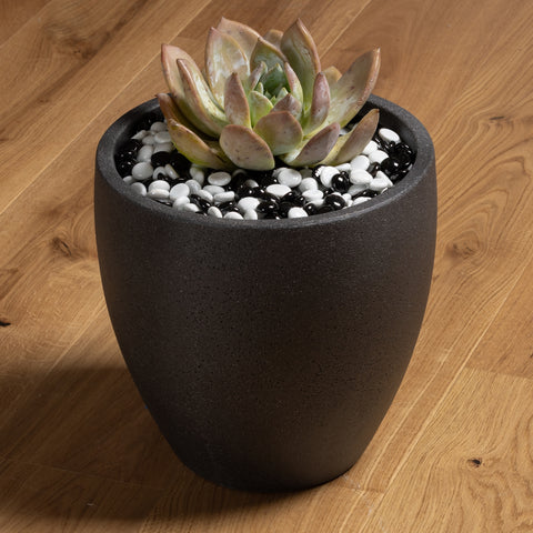 Black and White Glass Gems 17-19mm