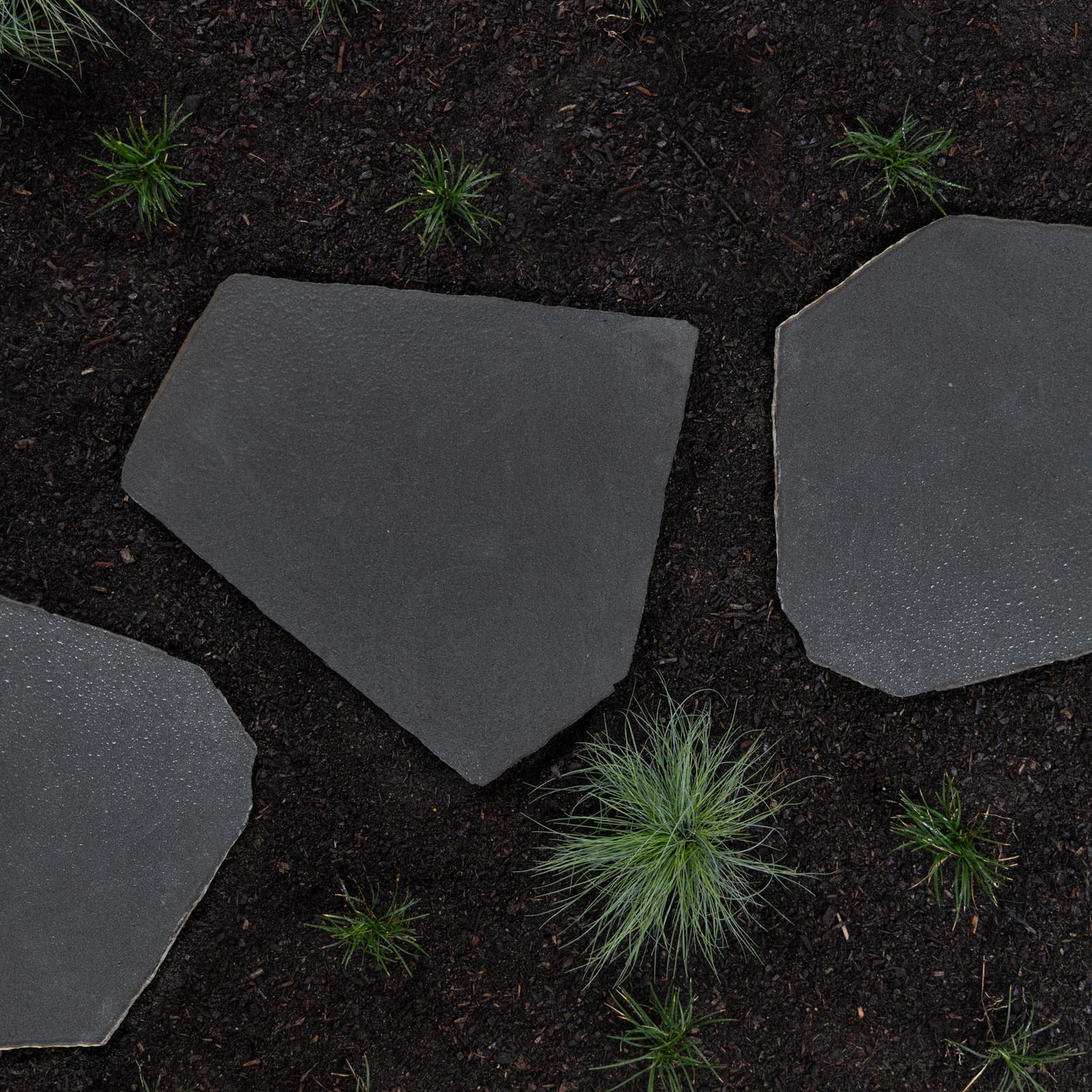 Irregular Bluestone Stepping Stone