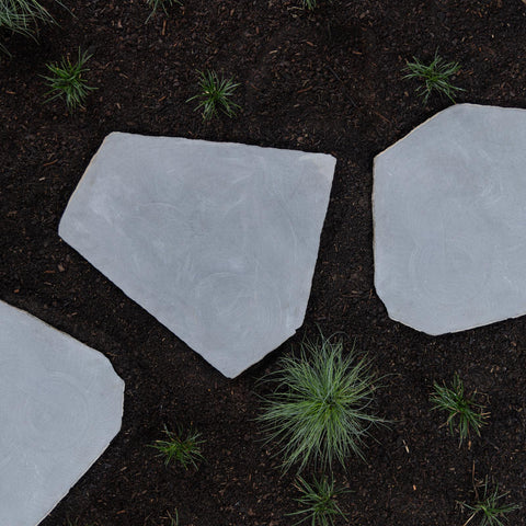 Irregular Bluestone Stepping Stone