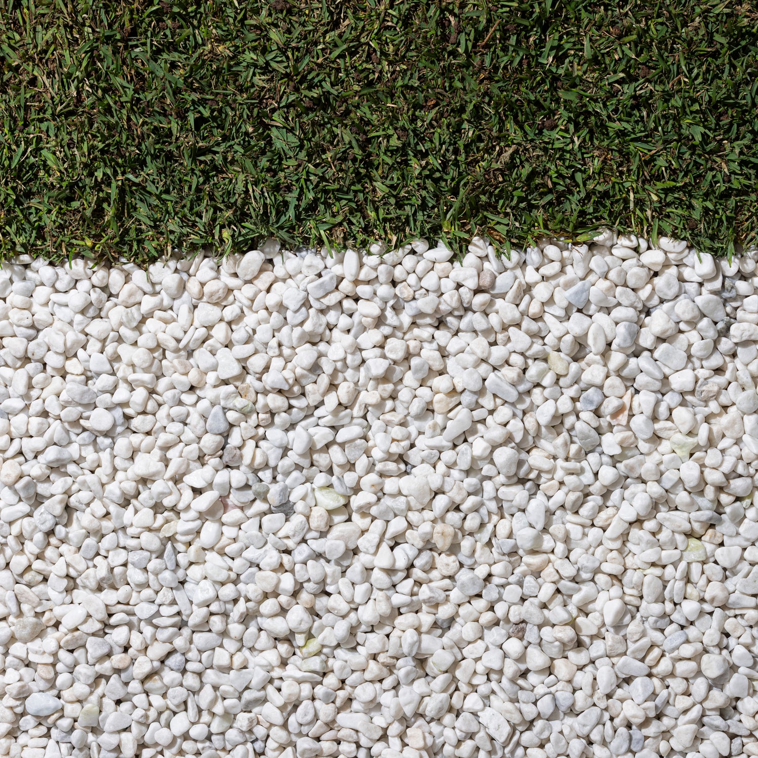 Natural Snow White Marble Pebbles 10-15mm