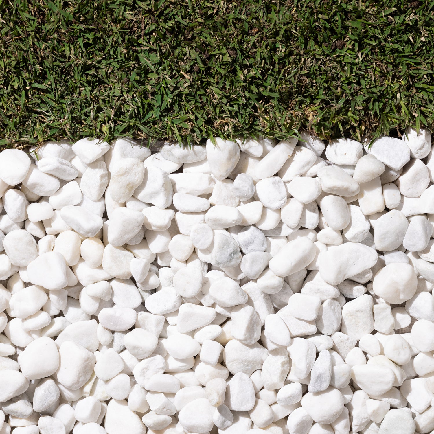 Natural Snow White Marble Pebbles 20-25mm