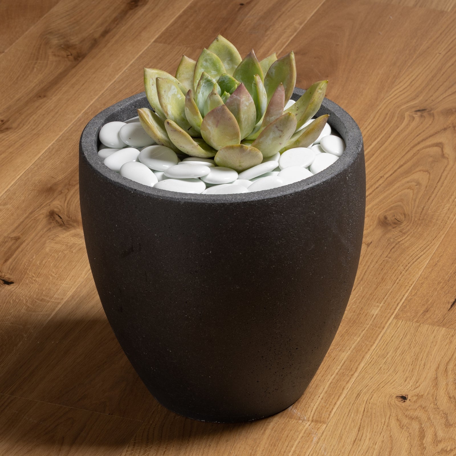 white pebbles for plant pots Aztec White Glass Pebbles 45-50mm – Tuscan Path