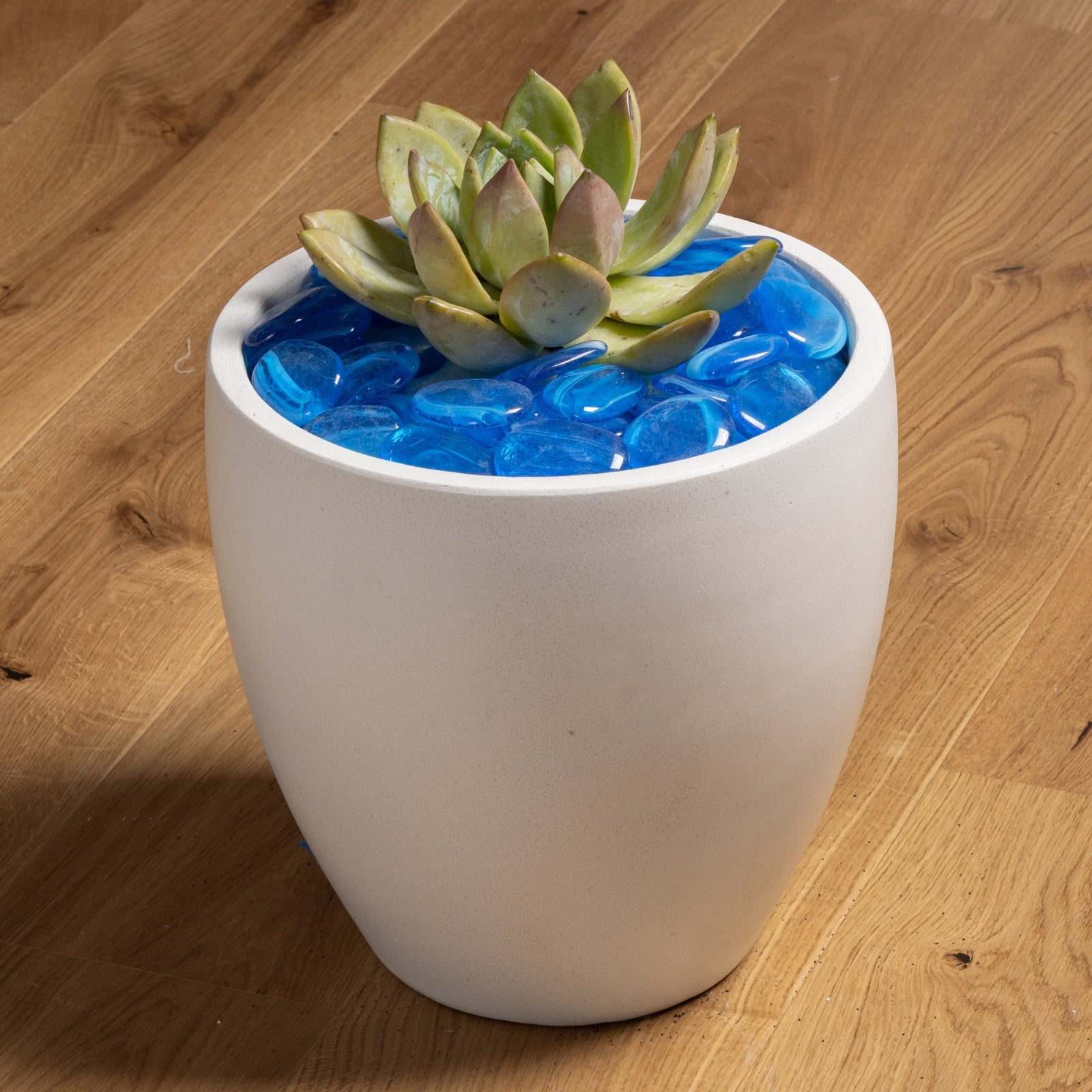 aqua succulents Translucent Aztec Aqua Glass Pebbles 45-50mm – Tuscan Path