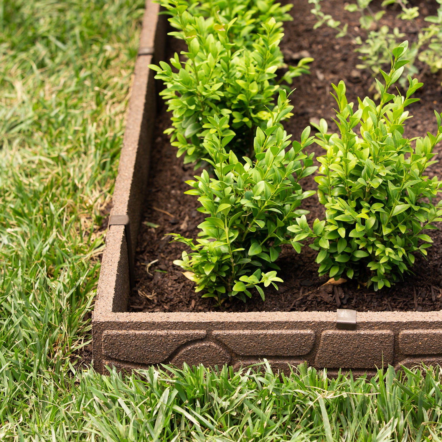 Stones Edging