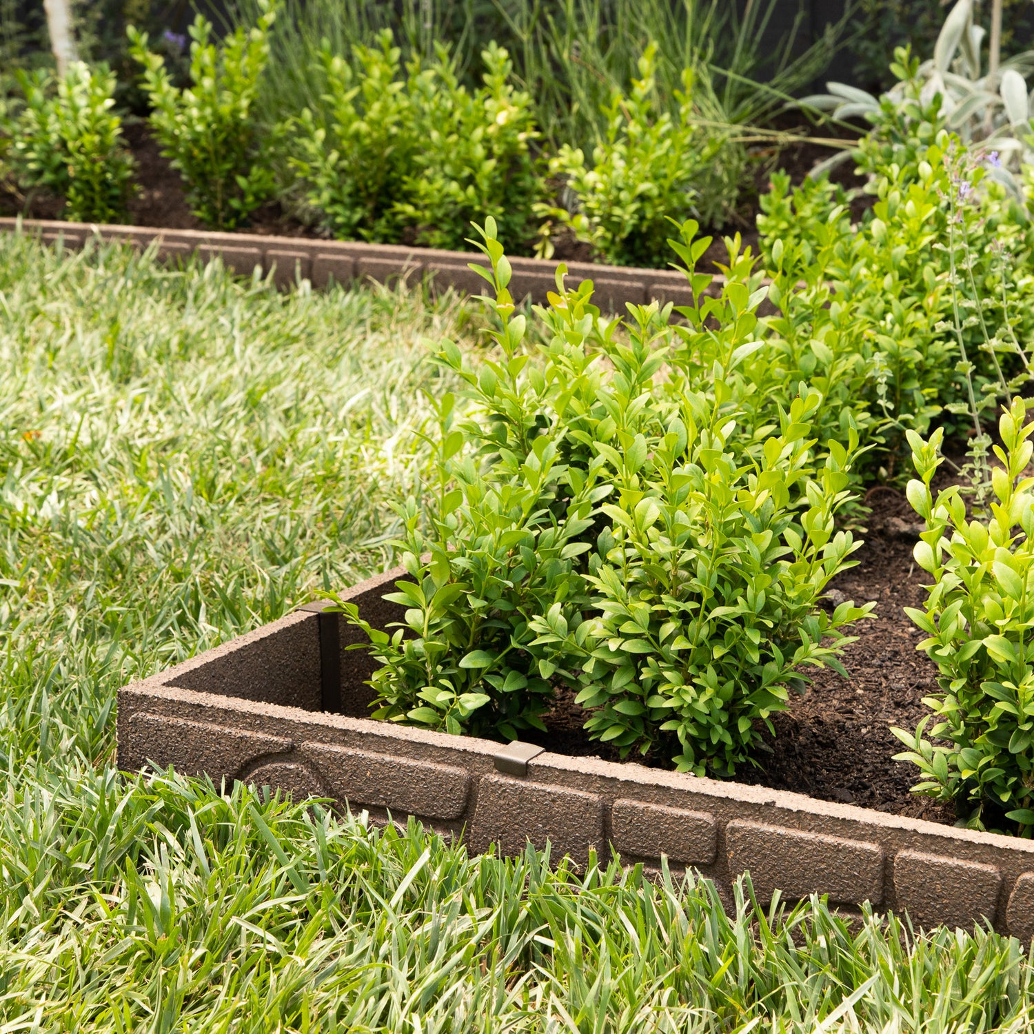 Stones Edging