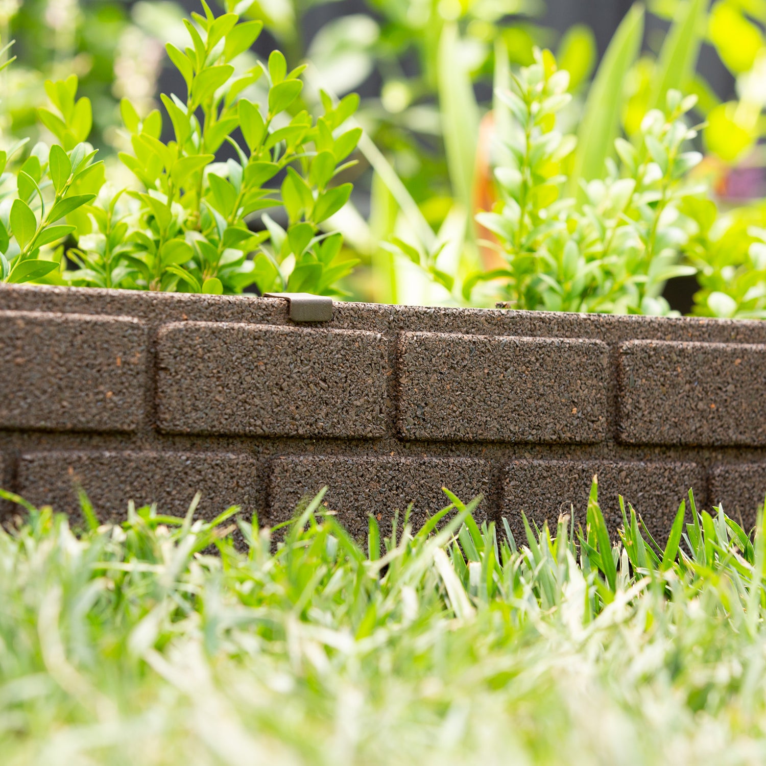Bricks Edging