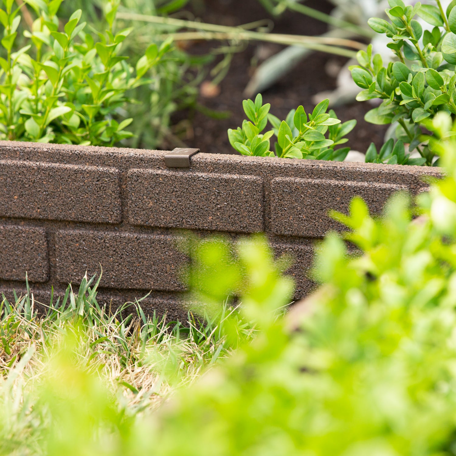 Bricks Edging