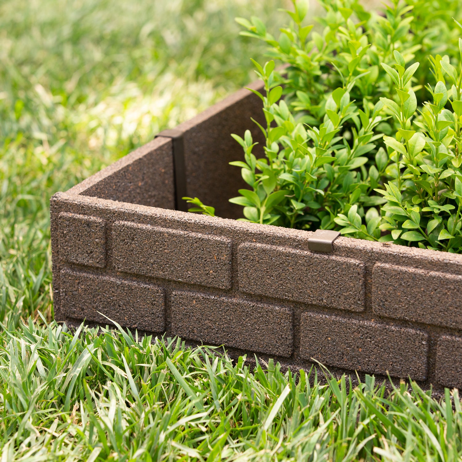 Bricks Edging