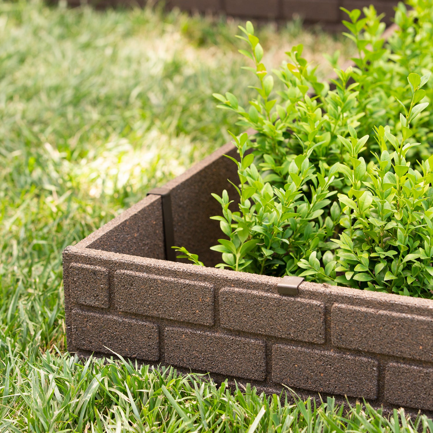 Bricks Edging